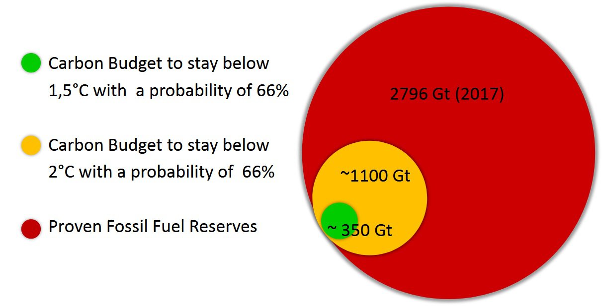 Carbon Budget.JPG