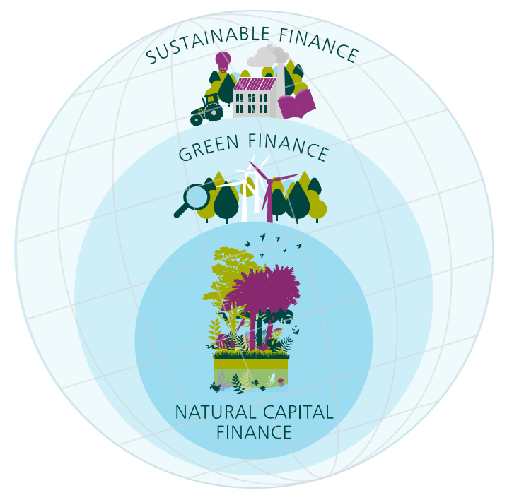 The Economics of Biodiversity_The Dasgupta Review 2021_Illustration of Private Finance Categories p. 477.png